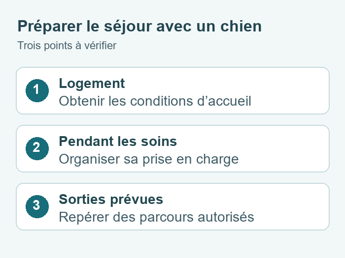 Préparer une cure avec son chien